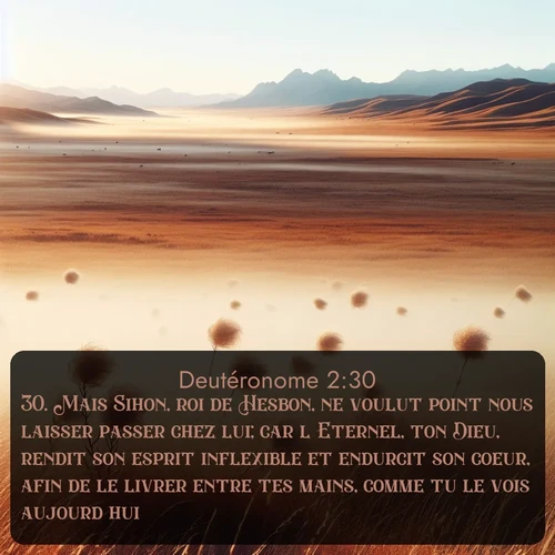 Segond Deutéronome  ; image nature: image avec le verset biblique :Mais Sihon, roi de Hesbon, ne voulut point nous laisser passer chez lui; car l&#039;Eternel, ton Dieu, rendit son esprit inflexible et endurcit son coeur, afin de le livrer entre tes mains, comme tu le vois aujourd&#039;hui. ;  ; 2:30