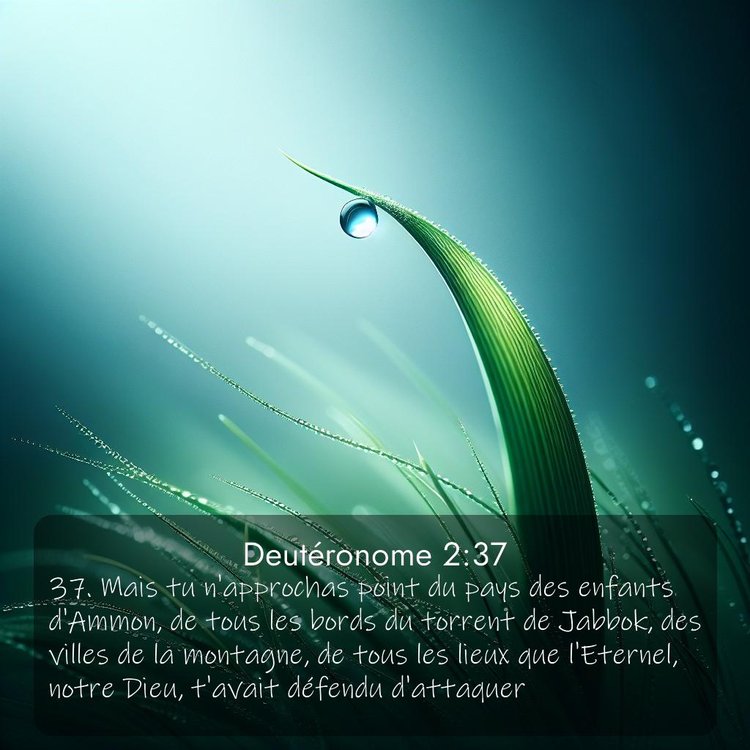 Segond Deutéronome 2:37