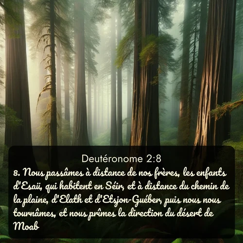 Segond Deutéronome  ; image nature: image avec le verset biblique :Nous passâmes à distance de nos frères, les enfants d&#039;Esaü, qui habitent en Séir, et à distance du chemin de la plaine, d&#039;Elath et d&#039;Etsjon-Guéber, puis nous nous tournâmes, et nous prîmes la direction du désert de Moab. ;  ; 2:8