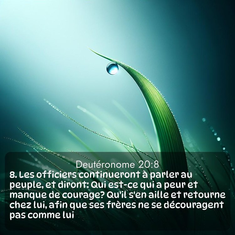 Segond Deutéronome 20:8