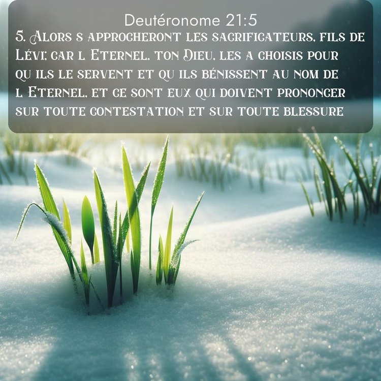 image nature avec verset biblique de la Bible