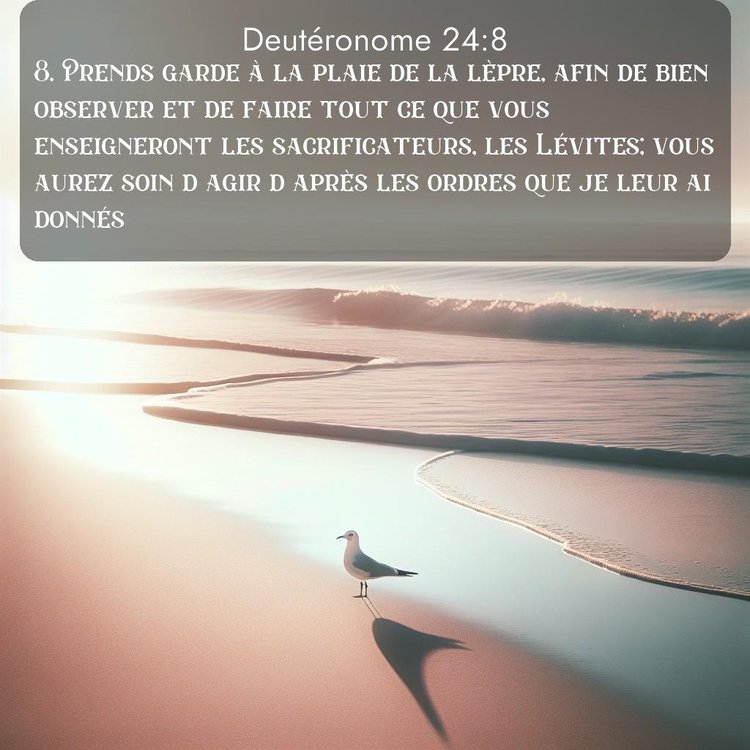 image nature avec verset biblique de la Bible