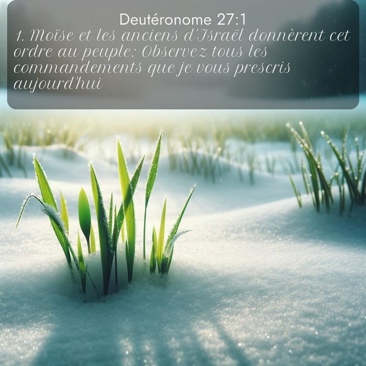image nature avec verset biblique de la Bible