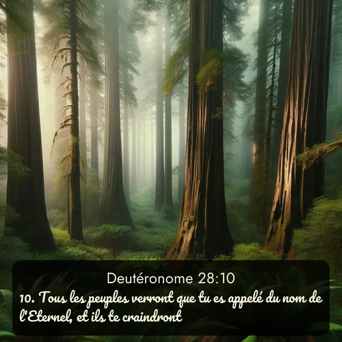 Segond Deutéronome  ; image nature: image avec le verset biblique :Tous les peuples verront que tu es appelé du nom de l&#039;Eternel, et ils te craindront. ;  ; 28:10