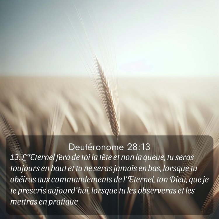 Segond Deutéronome 28:13