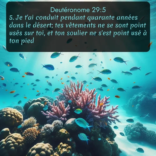 Segond Deutéronome  ; image nature: image avec le verset biblique :Je t&#039;ai conduit pendant quarante années dans le désert; tes vêtements ne se sont point usés sur toi, et ton soulier ne s&#039;est point usé à ton pied; ;  ; 29:5