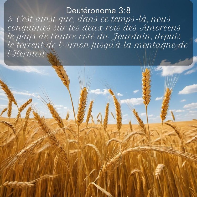 image nature avec verset biblique de la Bible