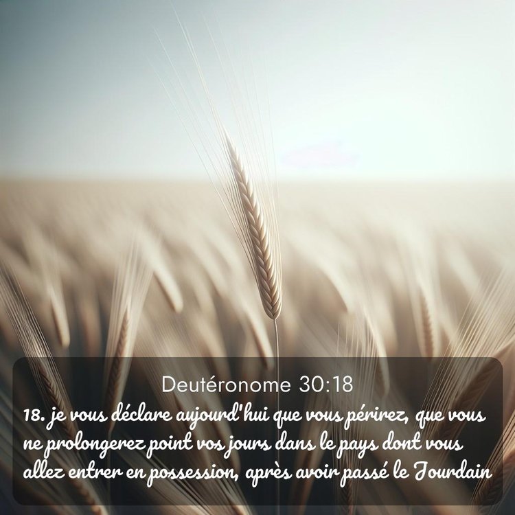 Segond Deutéronome 30:18