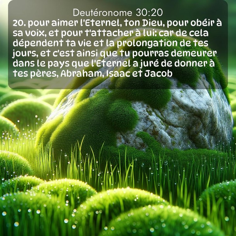 Segond Deutéronome 30:20