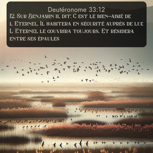 Segond Deutéronome  ; image nature: image avec le verset biblique :Sur Benjamin il dit: C&#039;est le bien-aimé de l&#039;Eternel, Il habitera en sécurité auprès de lui; L&#039;Eternel le couvrira toujours, Et résidera entre ses épaules. ;  ; 33:12