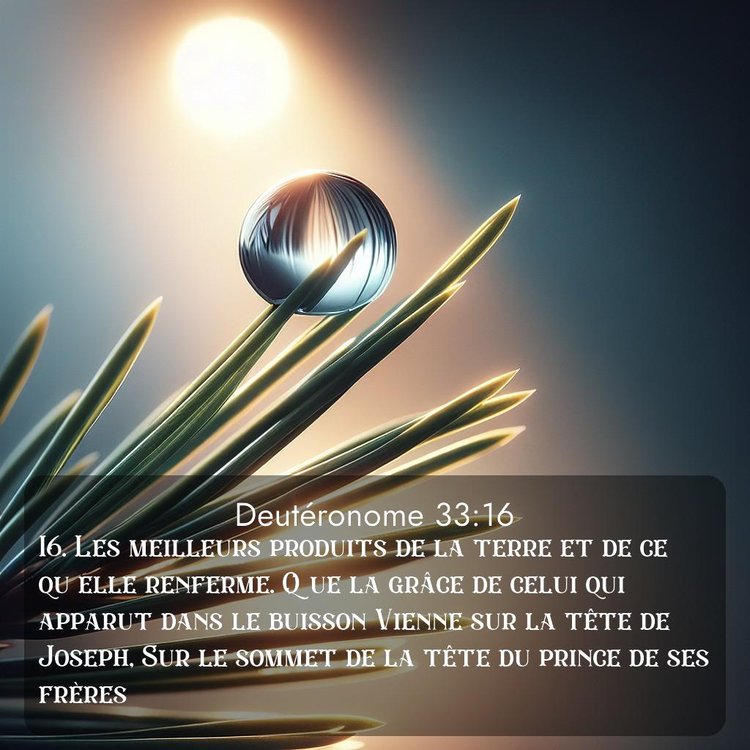 image nature avec verset biblique de la Bible