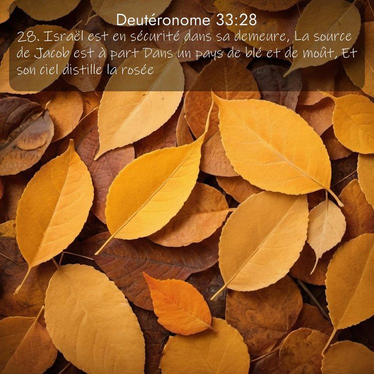 image nature avec verset biblique de la Bible