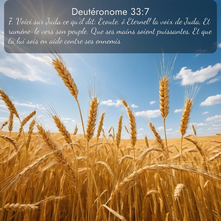 Segond Deutéronome 33:7