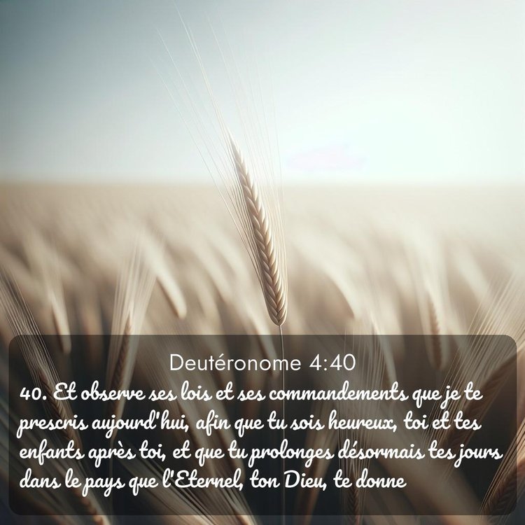 image nature avec verset biblique de la Bible