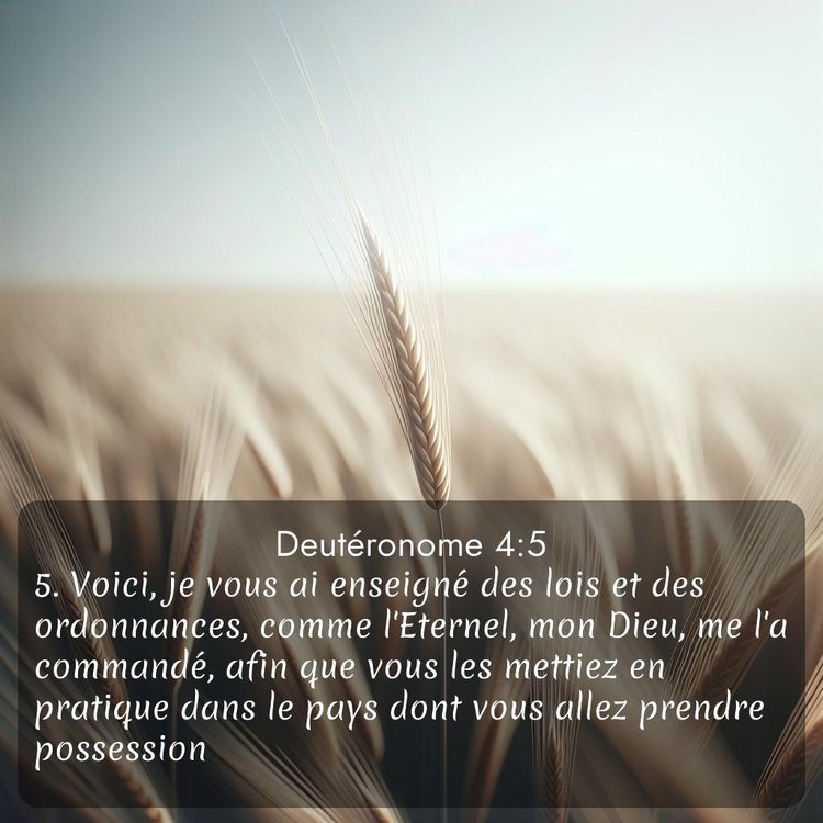 Segond Deutéronome 4:5