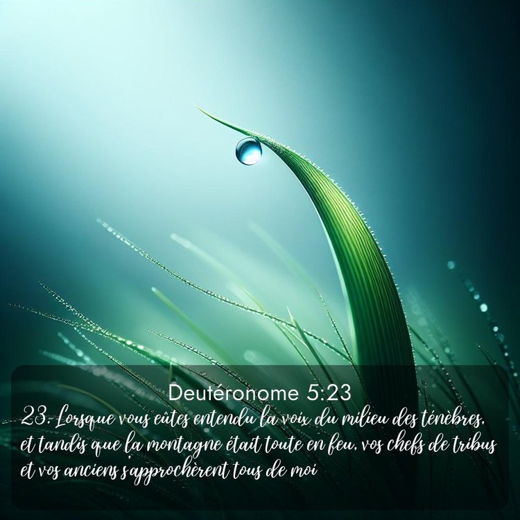 image nature avec verset biblique de la Bible
