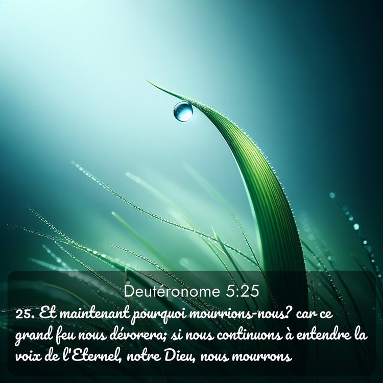 image nature avec verset biblique de la Bible