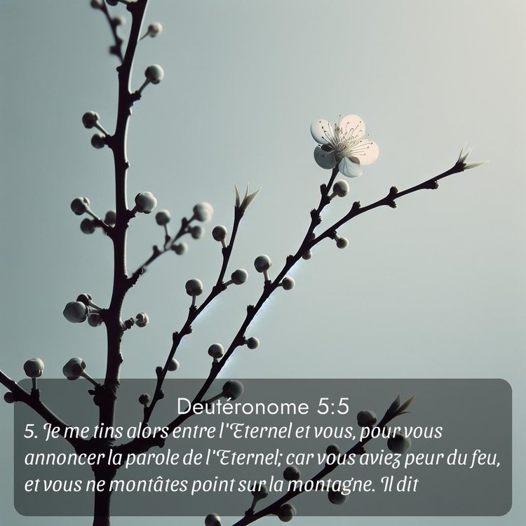 image nature avec verset biblique de la Bible