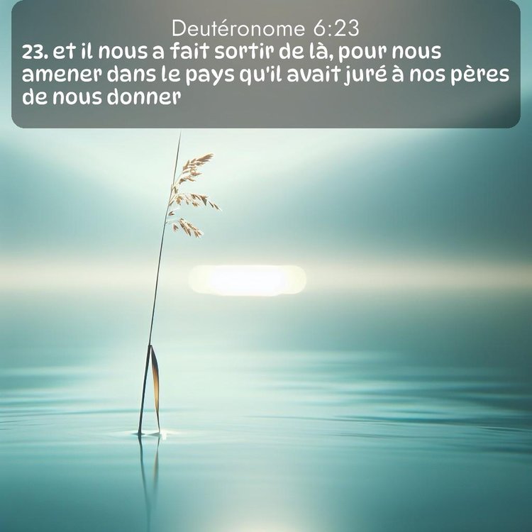 image nature avec verset biblique de la Bible