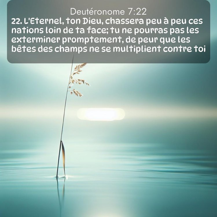 Segond Deutéronome 7:22