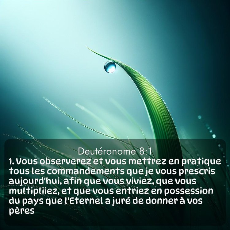 Segond Deutéronome 8:1