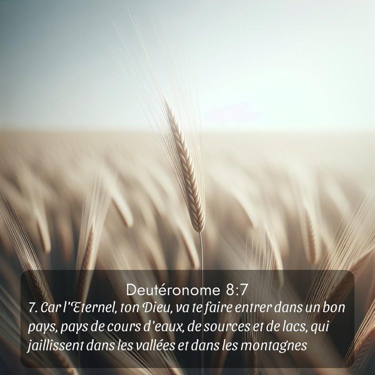 Segond Deutéronome 8:7