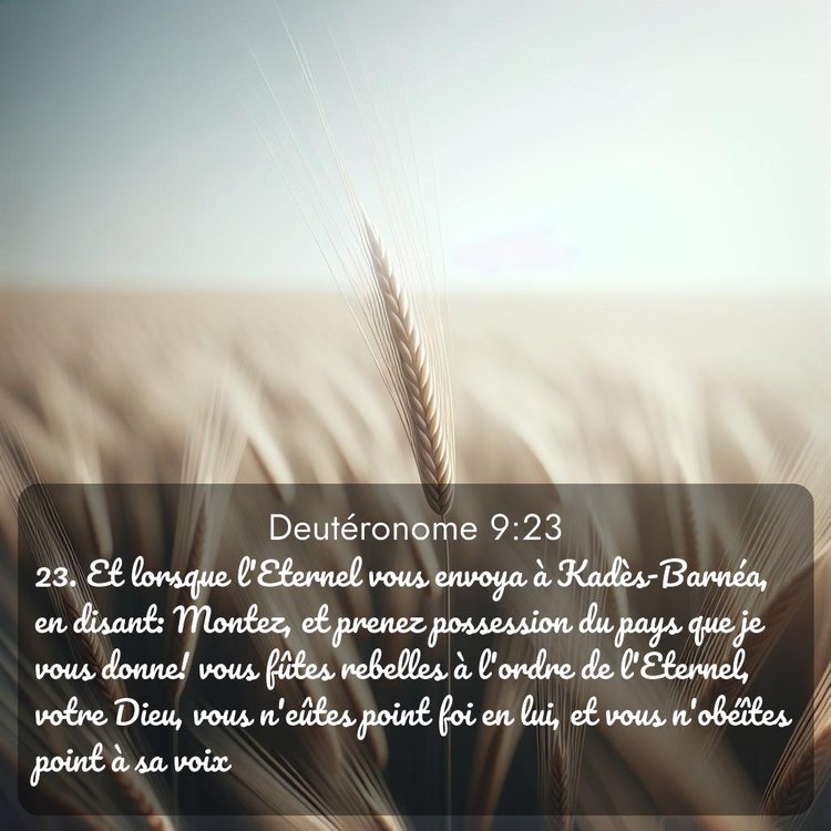 Segond Deutéronome 9:23