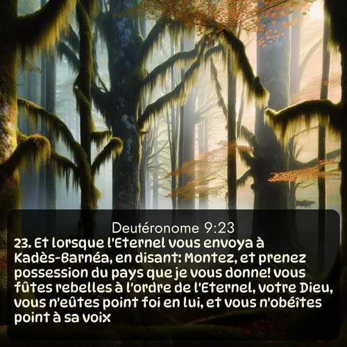 Segond Deutéronome  ; image nature: image avec le verset biblique :Et lorsque l&#039;Eternel vous envoya à Kadès-Barnéa, en disant: Montez, et prenez possession du pays que je vous donne! vous fûtes rebelles à l&#039;ordre de l&#039;Eternel, votre Dieu, vous n&#039;eûtes point foi en lui, et vous n&#039;obéîtes point à sa voix. ;  ; 9:23