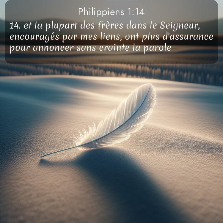 Segond Philippiens 1:14