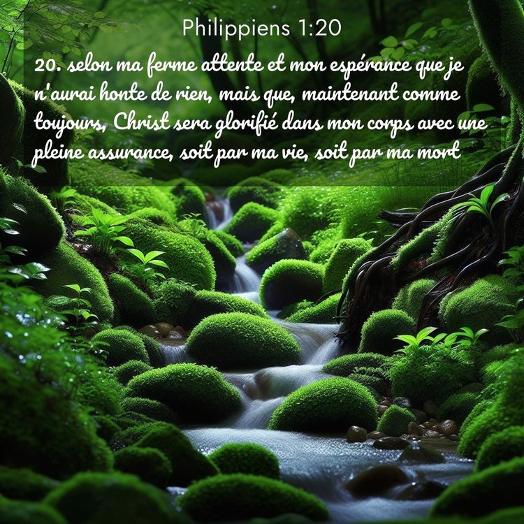 Segond Philippiens 1:20