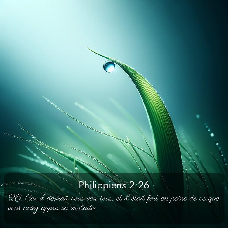 Segond Philippiens 2:26