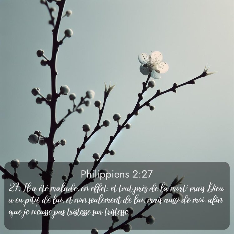 Segond Philippiens 2:27