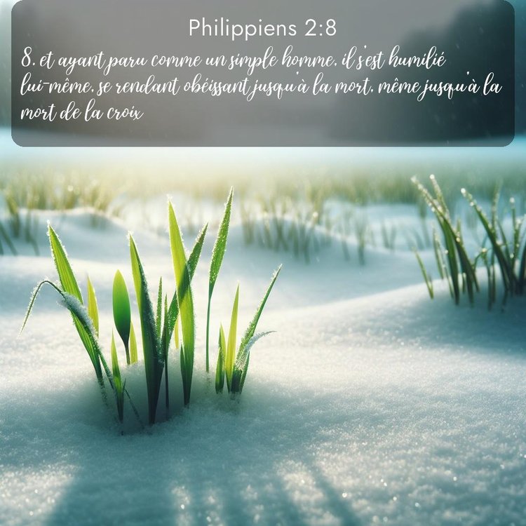 image nature avec verset biblique de la Bible