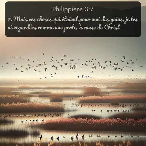 Segond Philippiens  ; image nature: image avec le verset biblique :Mais ces choses qui étaient pour moi des gains, je les ai regardées comme une perte, à cause de Christ. ;  ; 3:7