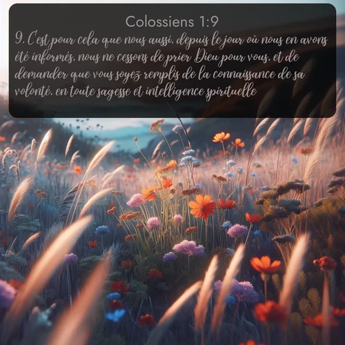 Segond Colossiens  ; image nature: image avec le verset biblique :C&#039;est pour cela que nous aussi, depuis le jour où nous en avons été informés, nous ne cessons de prier Dieu pour vous, et de demander que vous soyez remplis de la connaissance de sa volonté, en toute sagesse et intelligence spirituelle, ;  ; 1:9