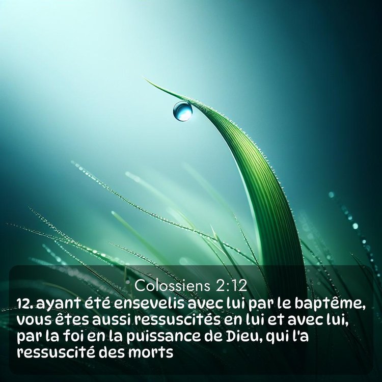 image nature avec verset biblique de la Bible
