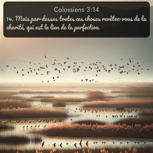 Segond Colossiens  ; image nature: image avec le verset biblique :Mais par-dessus toutes ces choses revêtez-vous de la charité, qui est le lien de la perfection. ;  ; 3:14