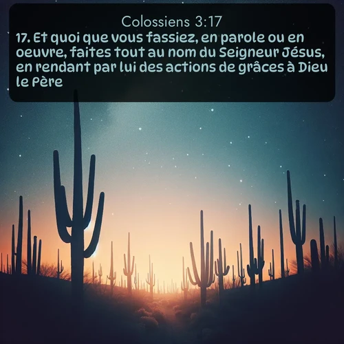 Segond Colossiens  ; image nature: image avec le verset biblique :Et quoi que vous fassiez, en parole ou en oeuvre, faites tout au nom du Seigneur Jésus, en rendant par lui des actions de grâces à Dieu le Père. ;  ; 3:17