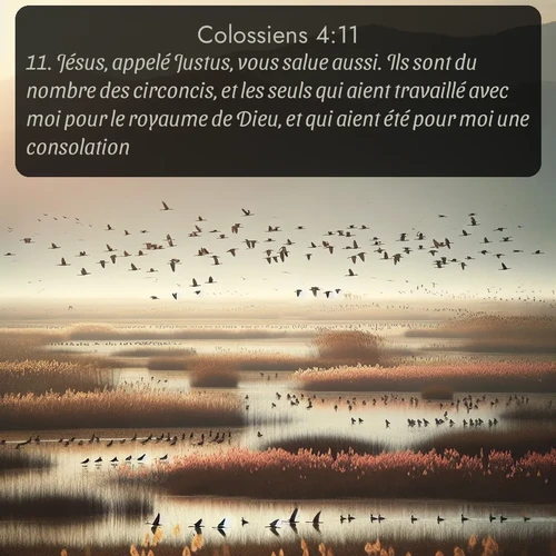 Segond Colossiens  ; image nature: image avec le verset biblique :Jésus, appelé Justus, vous salue aussi. Ils sont du nombre des circoncis, et les seuls qui aient travaillé avec moi pour le royaume de Dieu, et qui aient été pour moi une consolation. ;  ; 4:11