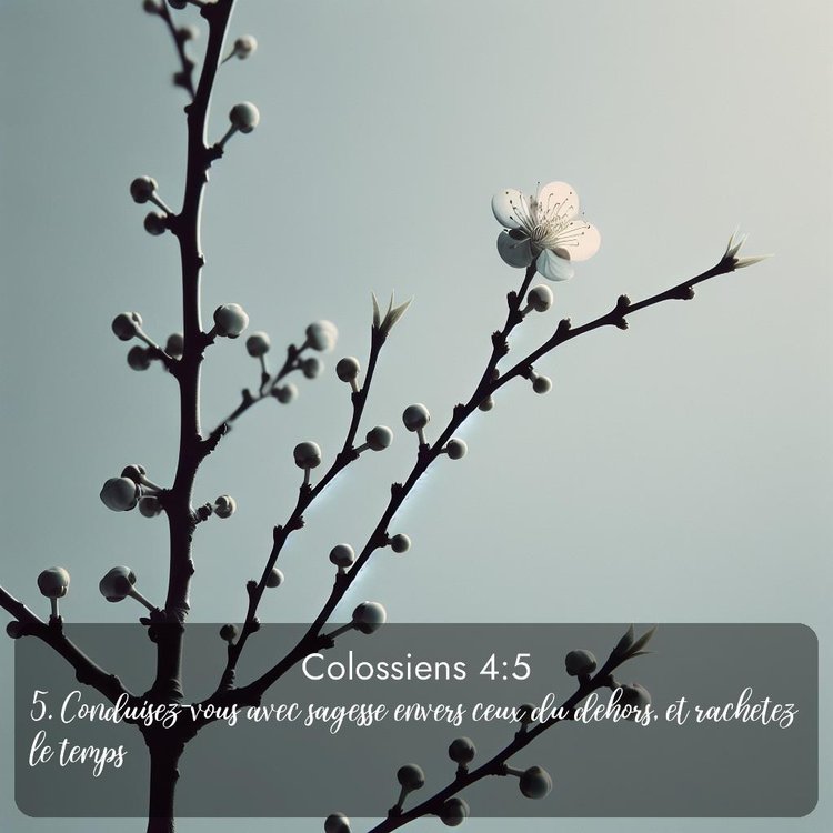 Segond Colossiens 4:5