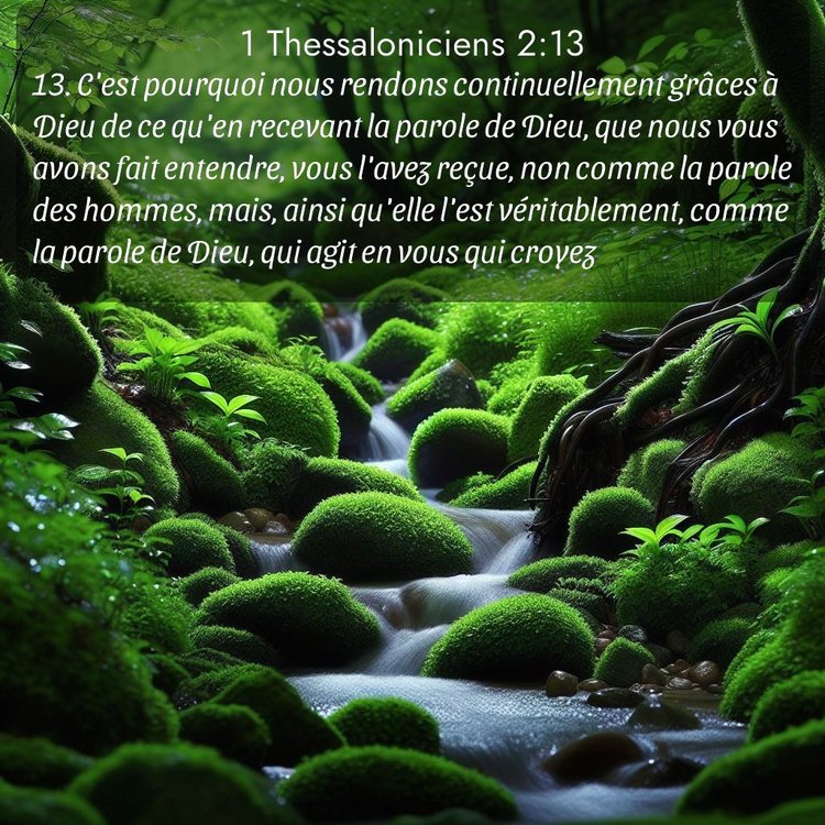 image nature avec verset biblique de la Bible