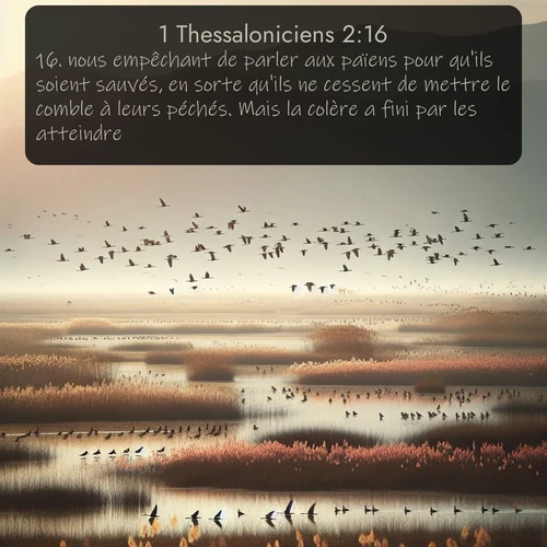 Segond 1 Thessaloniciens  ; image nature: image avec le verset biblique :nous empêchant de parler aux païens pour qu&#039;ils soient sauvés, en sorte qu&#039;ils ne cessent de mettre le comble à leurs péchés. Mais la colère a fini par les atteindre. ;  ; 2:16