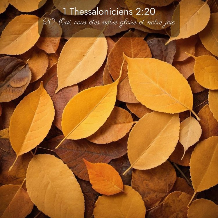 image nature avec verset biblique de la Bible