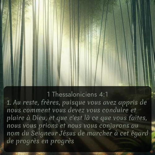 Segond 52 4:1