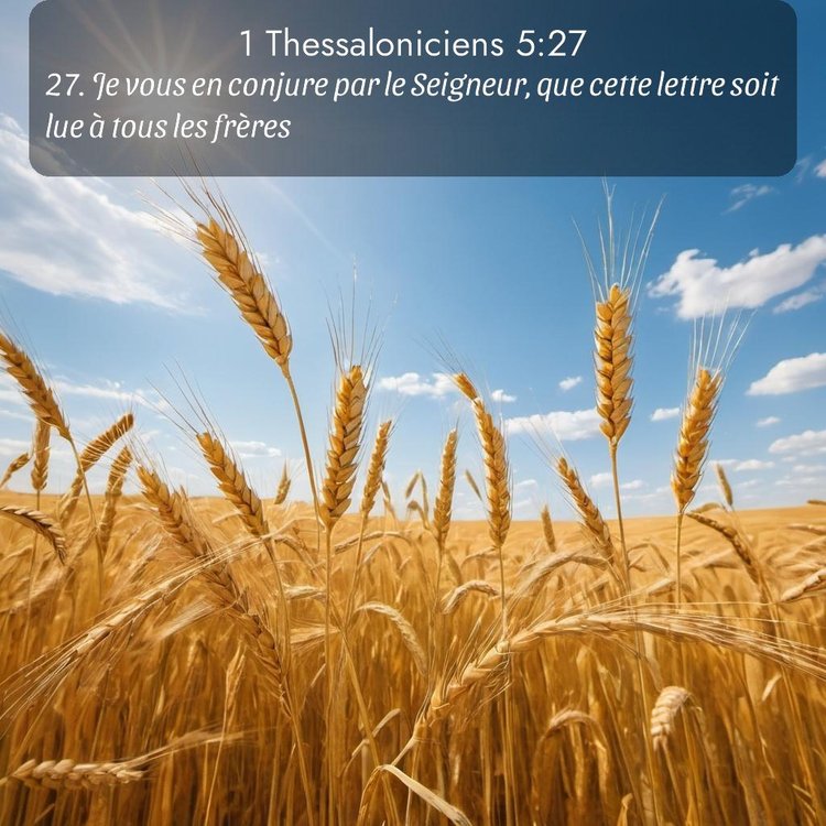 image nature avec verset biblique de la Bible
