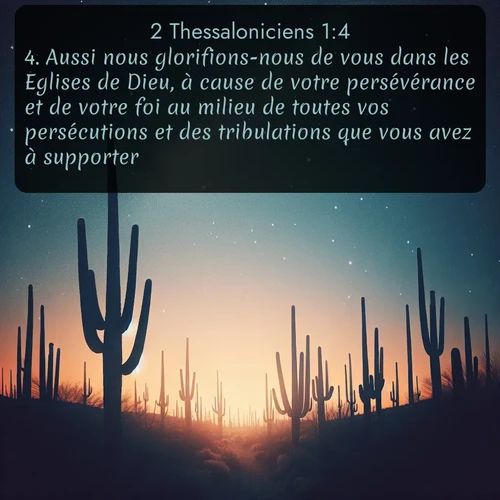 Segond 2 Thessaloniciens  ; image nature: image avec le verset biblique :Aussi nous glorifions-nous de vous dans les Eglises de Dieu, à cause de votre persévérance et de votre foi au milieu de toutes vos persécutions et des tribulations que vous avez à supporter. ;  ; 1:4