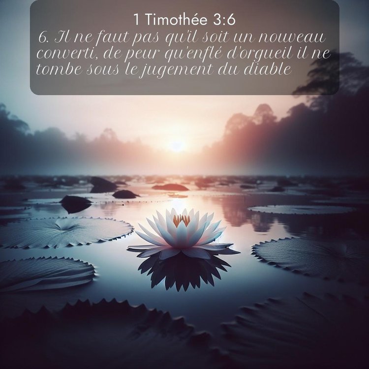 Segond 1 Timothée 3:6