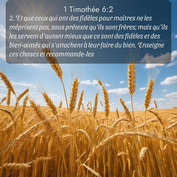 Segond 1 Timothée 6:2