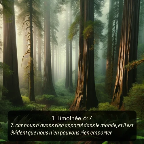 Segond 1 Timothée  ; image nature: image avec le verset biblique :car nous n&#039;avons rien apporté dans le monde, et il est évident que nous n&#039;en pouvons rien emporter; ;  ; 6:7