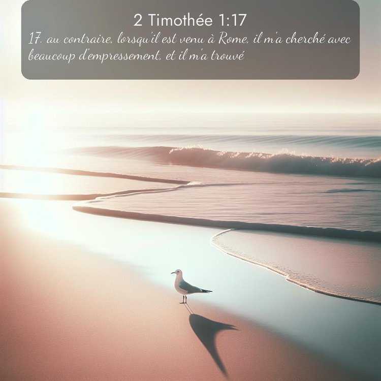 Segond 2 Timothée 1:17